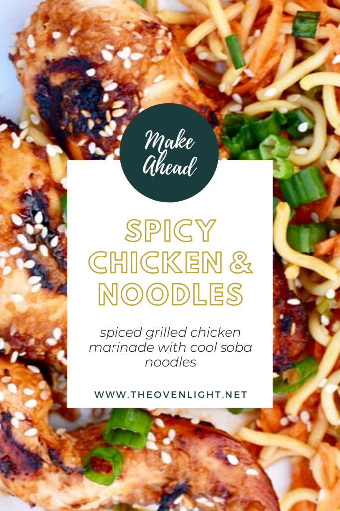 Spicy Chicken Skewers and Cool Soba Noodles | Grilled Chicken tenders on a skewer marinated in an amazing spicy sauce. #grilledchicken #asian #coolnoodles