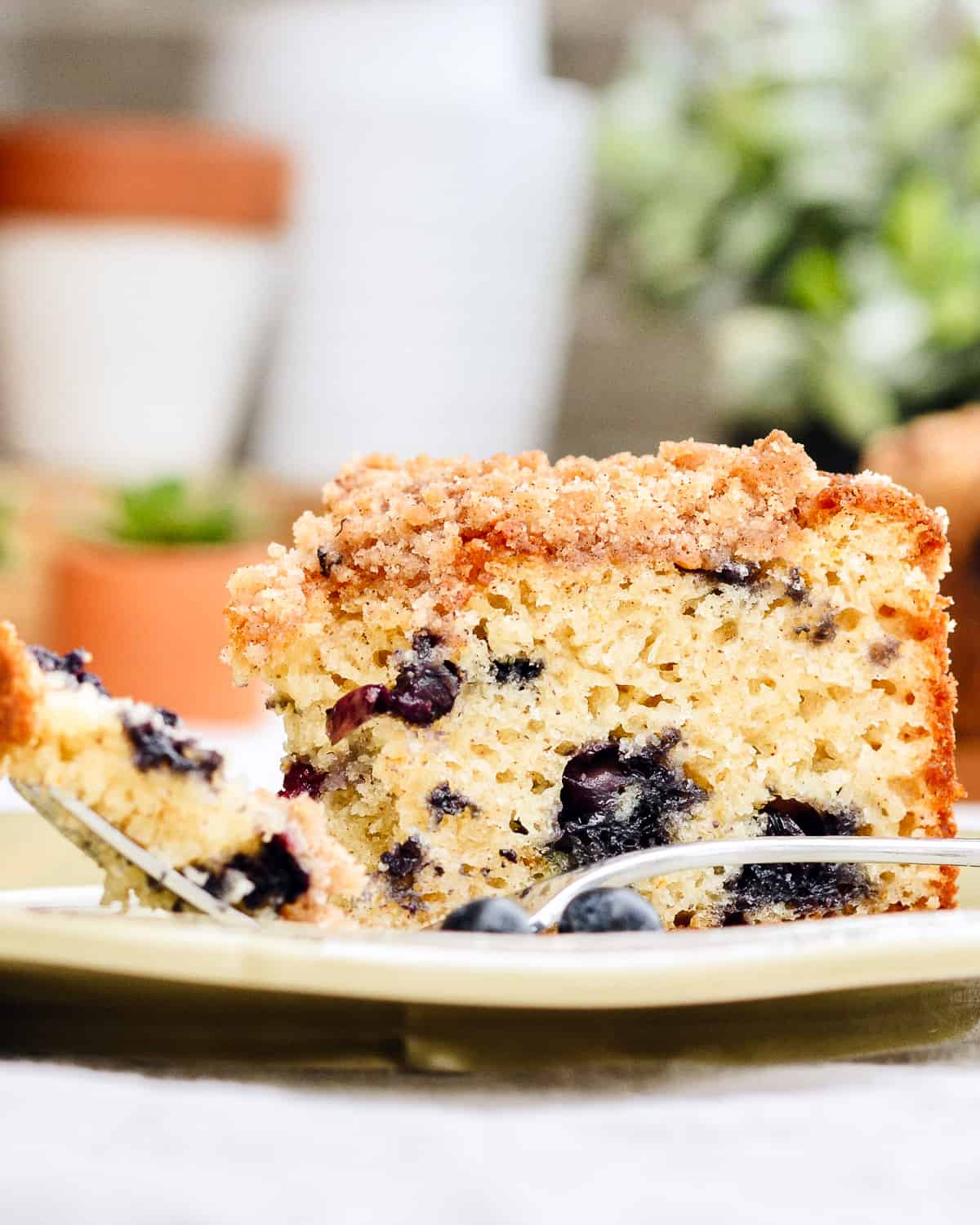 Slice of blueberry muffin cake sitting on a plate with a fork.