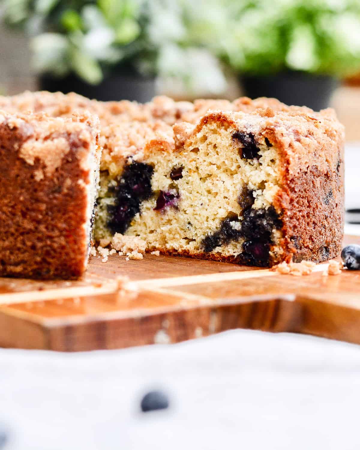 Blueberry cake sitting on cutting board with plants in background.