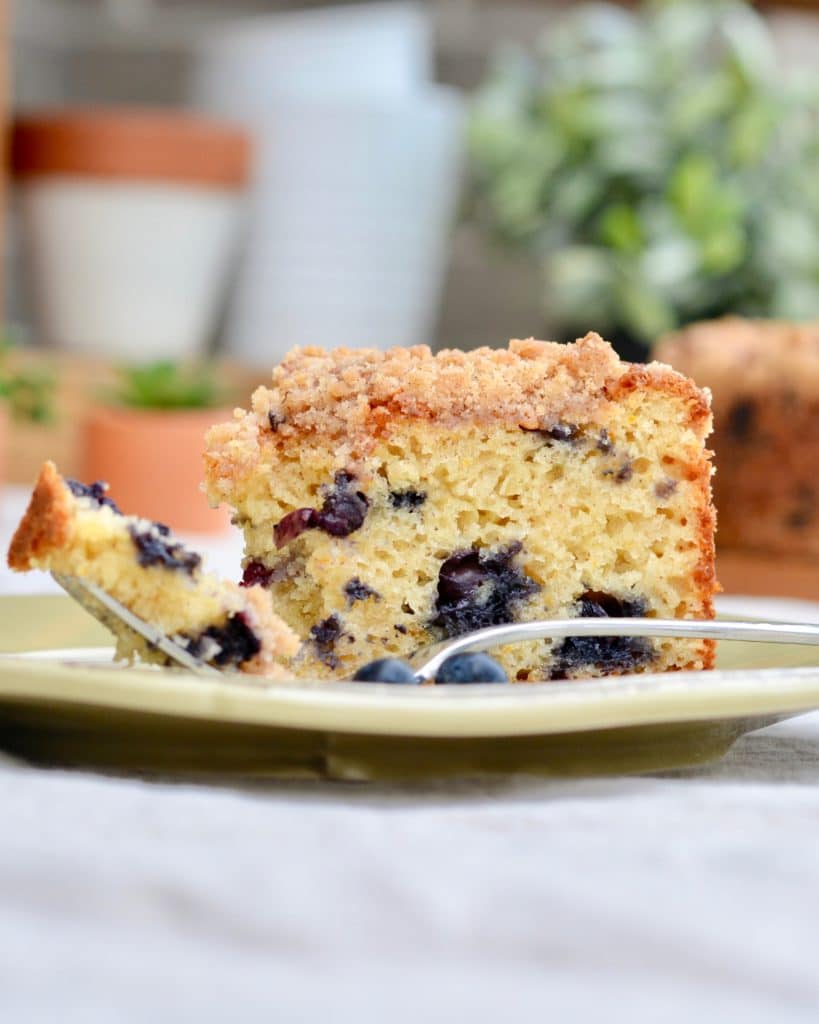 Blueberry Muffin Cake - with a light crumb topping, orange zest and plenty of blueberries. Make it in a spring form pan or a baking dish. So delicious!