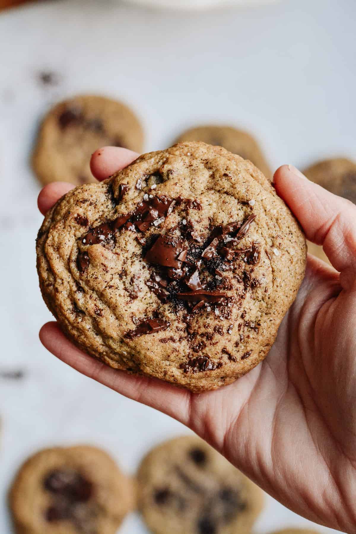 https://www.theovenlight.net/wp-content/uploads/2019/05/Espresso-Chocolate-Chip-Cookies-10.jpg