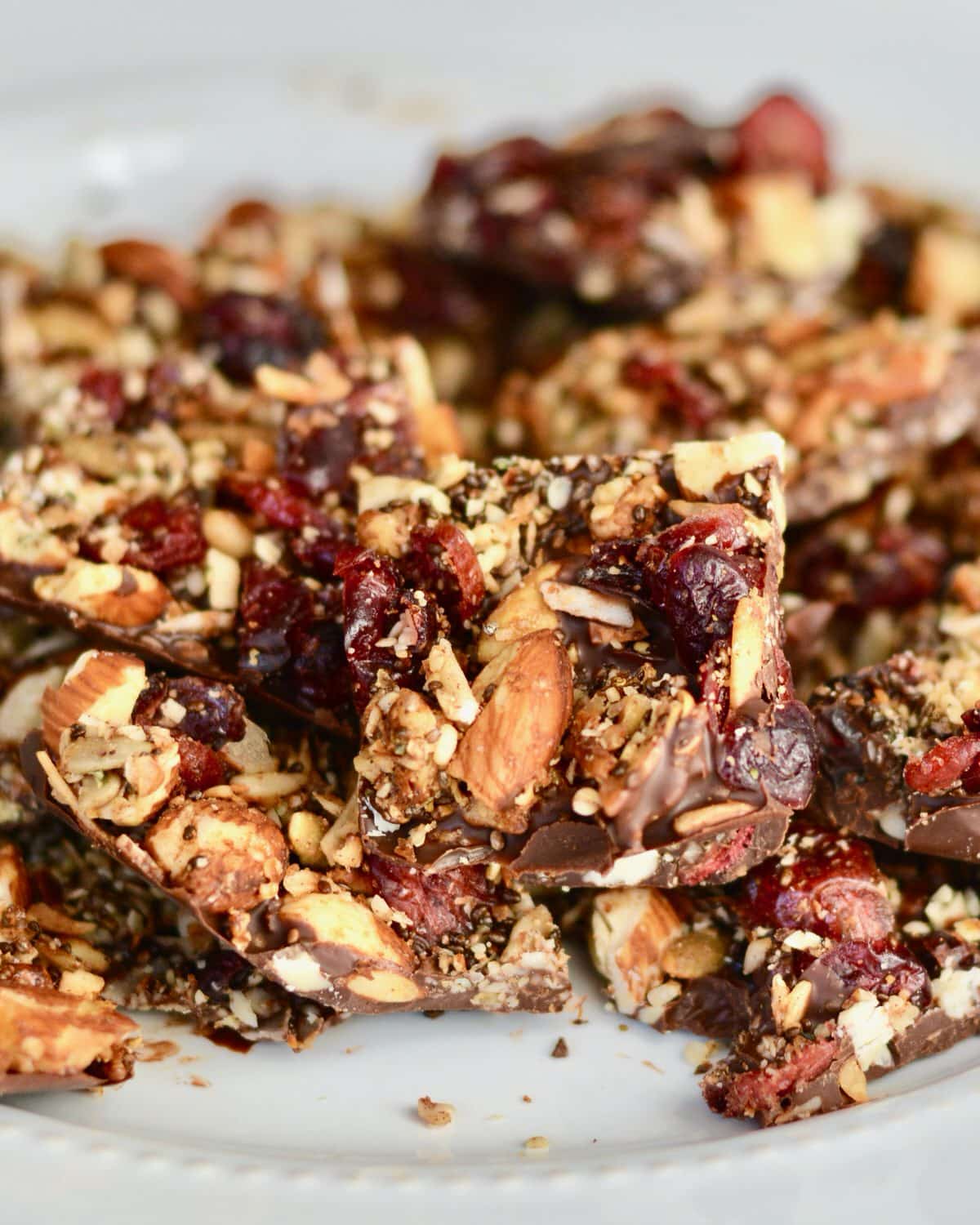 Grain Free Granola and Cranberry Chocolate Bark | Perfect Holiday Snack or Gift. Dark chocolate topped with lightly sweetened grain free granola and dried cranberries. Delicious!