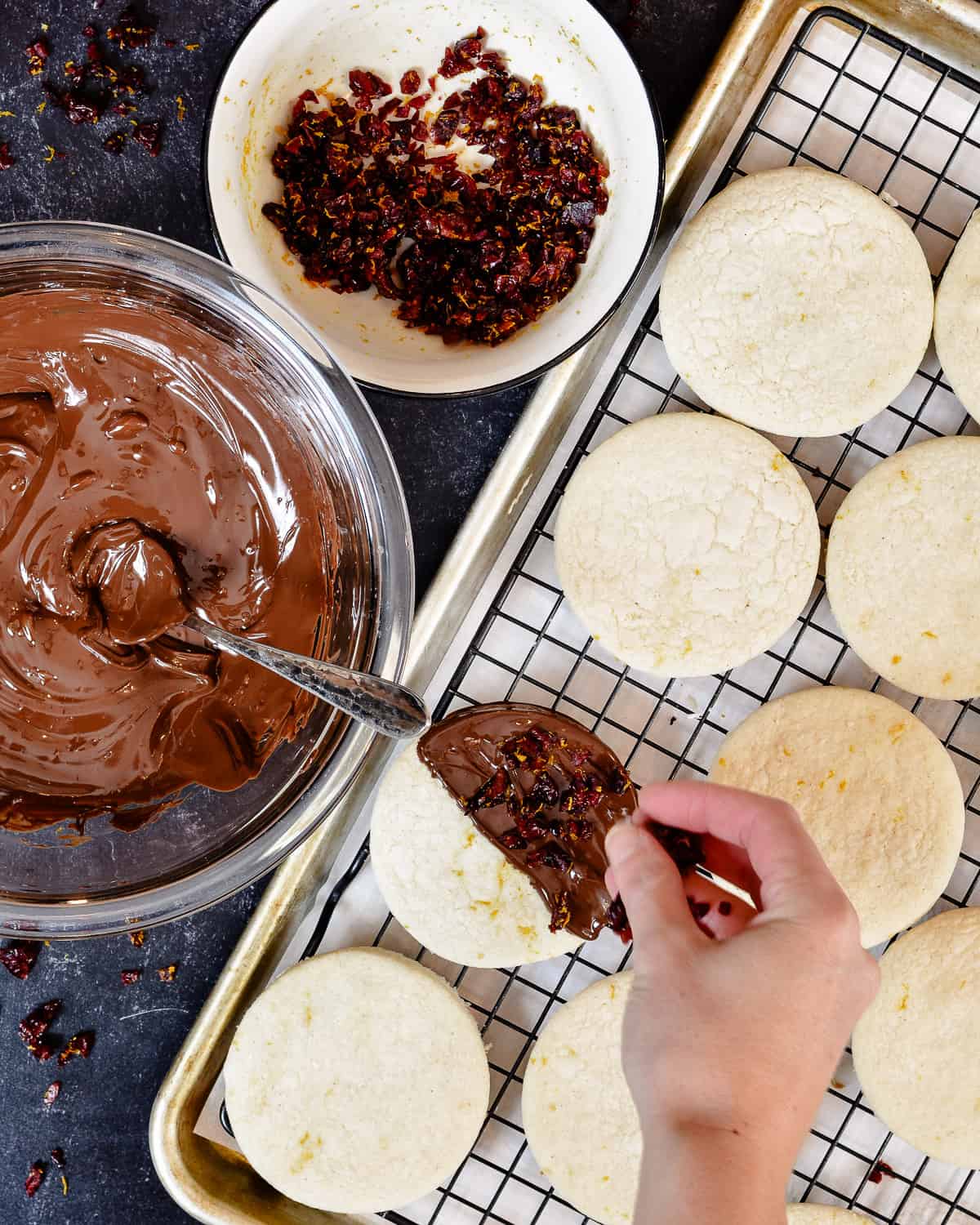 Hand adding cranberries onto dark chocolate on cookies.