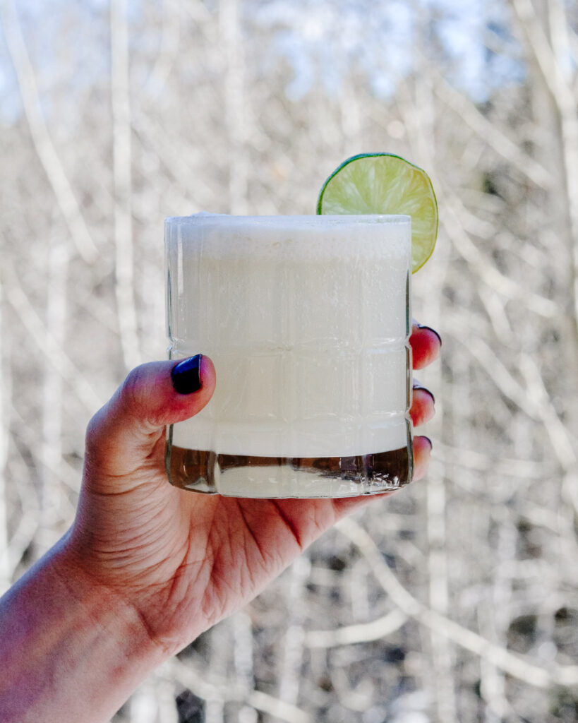 Refreshing Gin Fizz made with healthy all-natural ingredients.