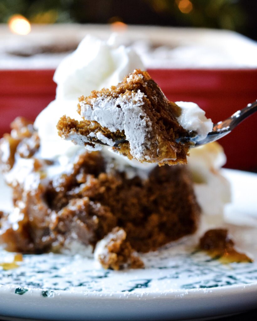 Gingerbread Cake with a warm ginger sauce base, unlike any winter cake you've ever had. Perfectly spiced with ginger, cinnamon, nutmeg and cloves.
