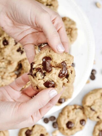 Vegan Peanut Butter Cookies