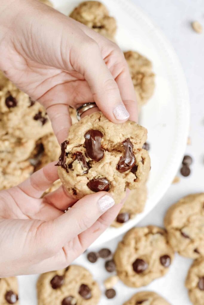 Vegan Peanut Butter Cookies