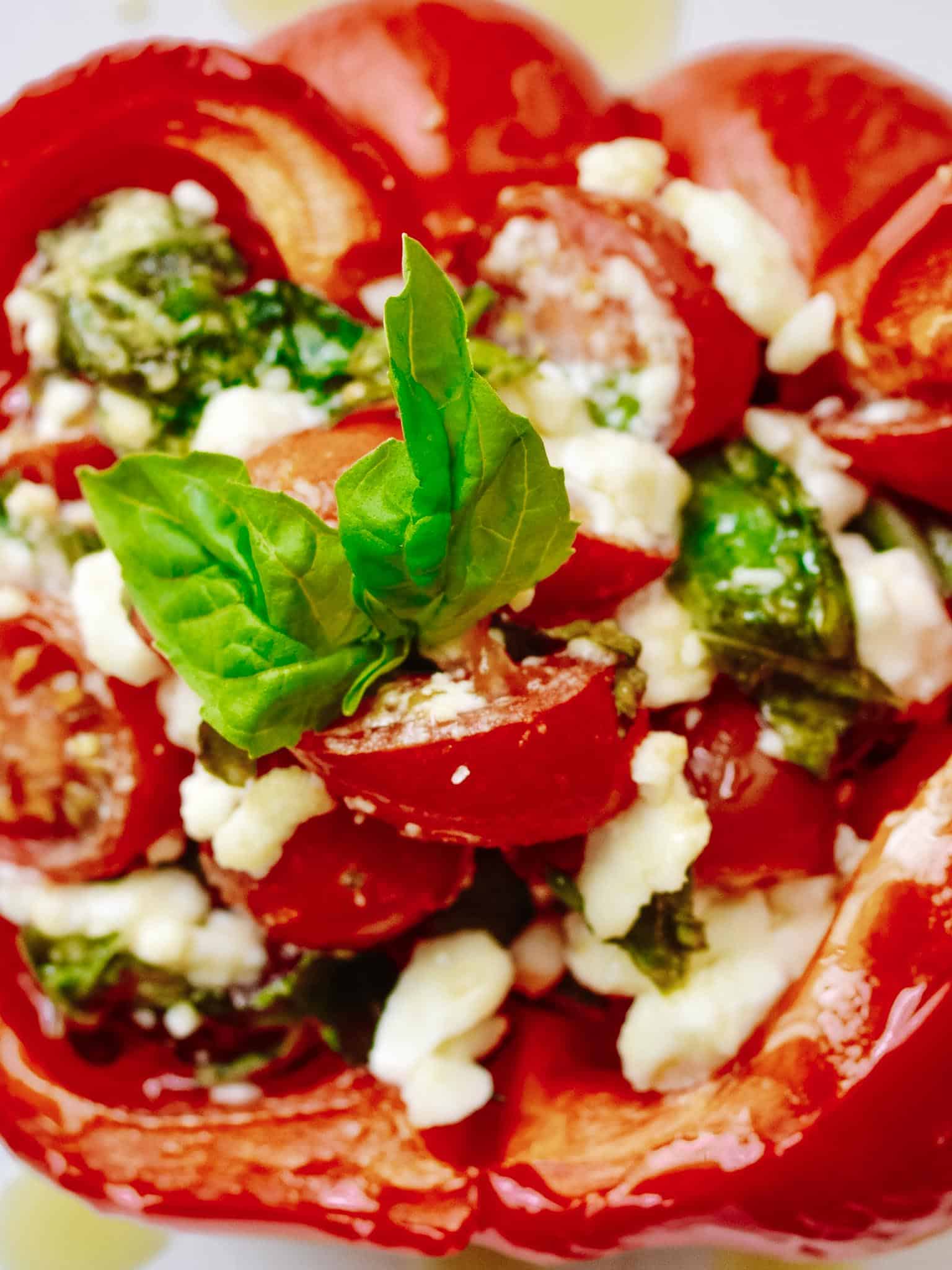 Vegetarian Stuffed Peppers2 The Oven Light