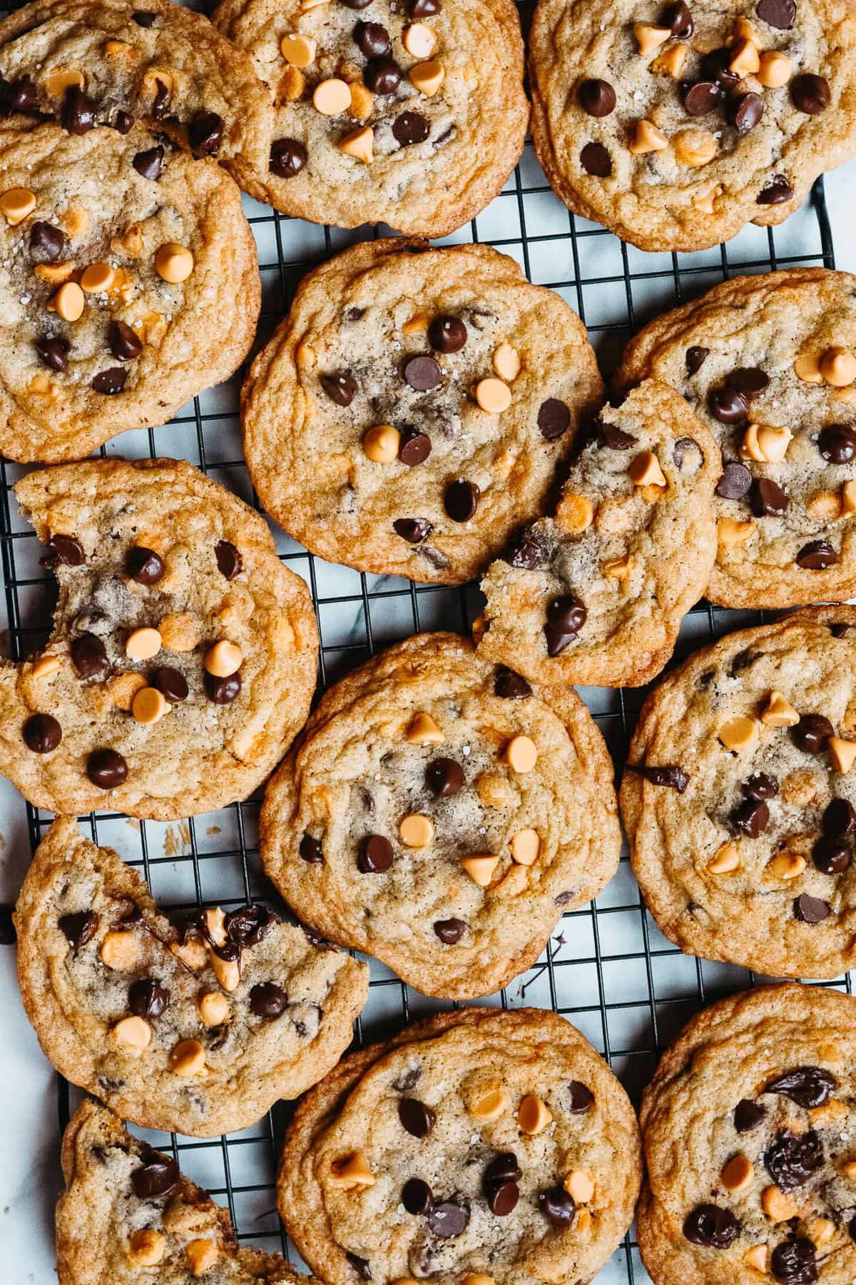 Cooling rack with cookies all over.