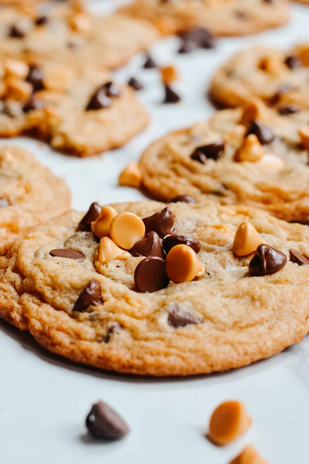 Butterscotch and chocolate chips on top of a cookie, with more cookies behind.