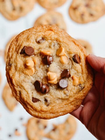 Hand holding a gluten free butterscotch chocolate chip cookie with more cookies in the background.