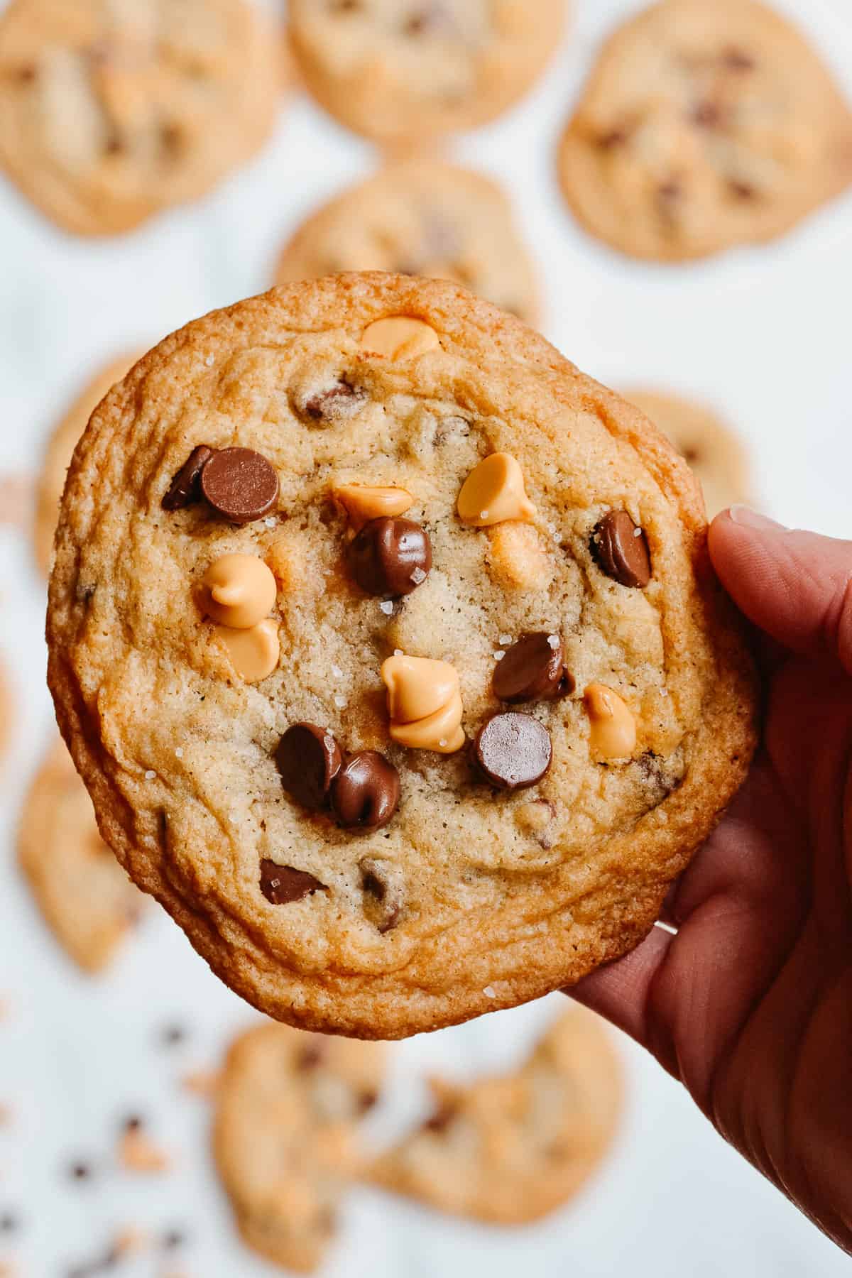Hand holding a gluten free butterscotch chocolate chip cookie with more cookies in the background.