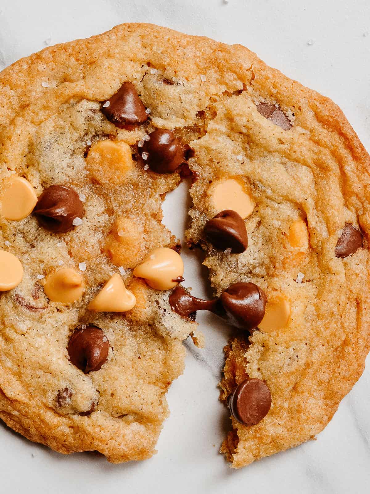 Close up of butterscotch chocolate chip cookie split open with gooey chocolate.