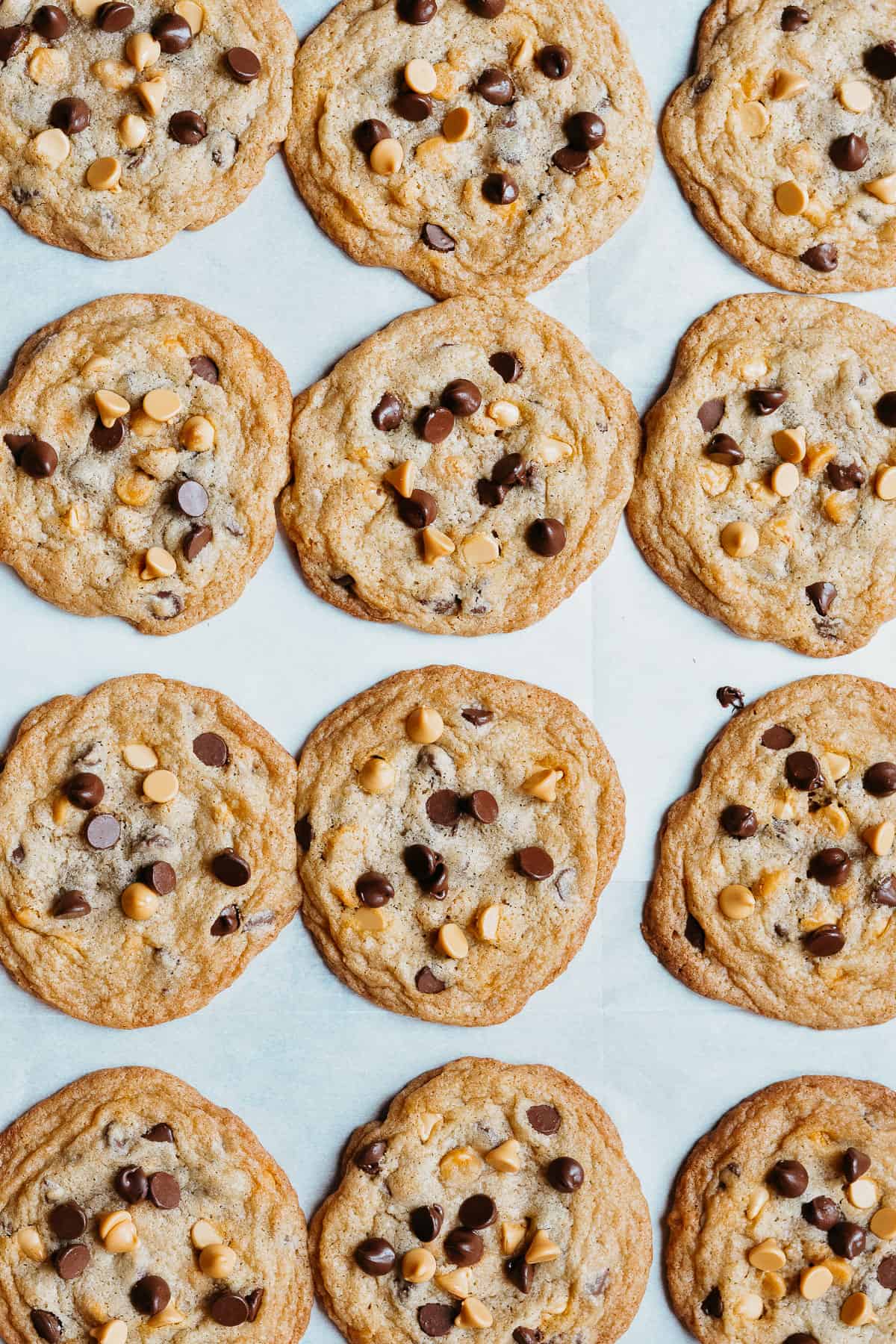 Baked cookies on cookie sheet with white parchment paper.