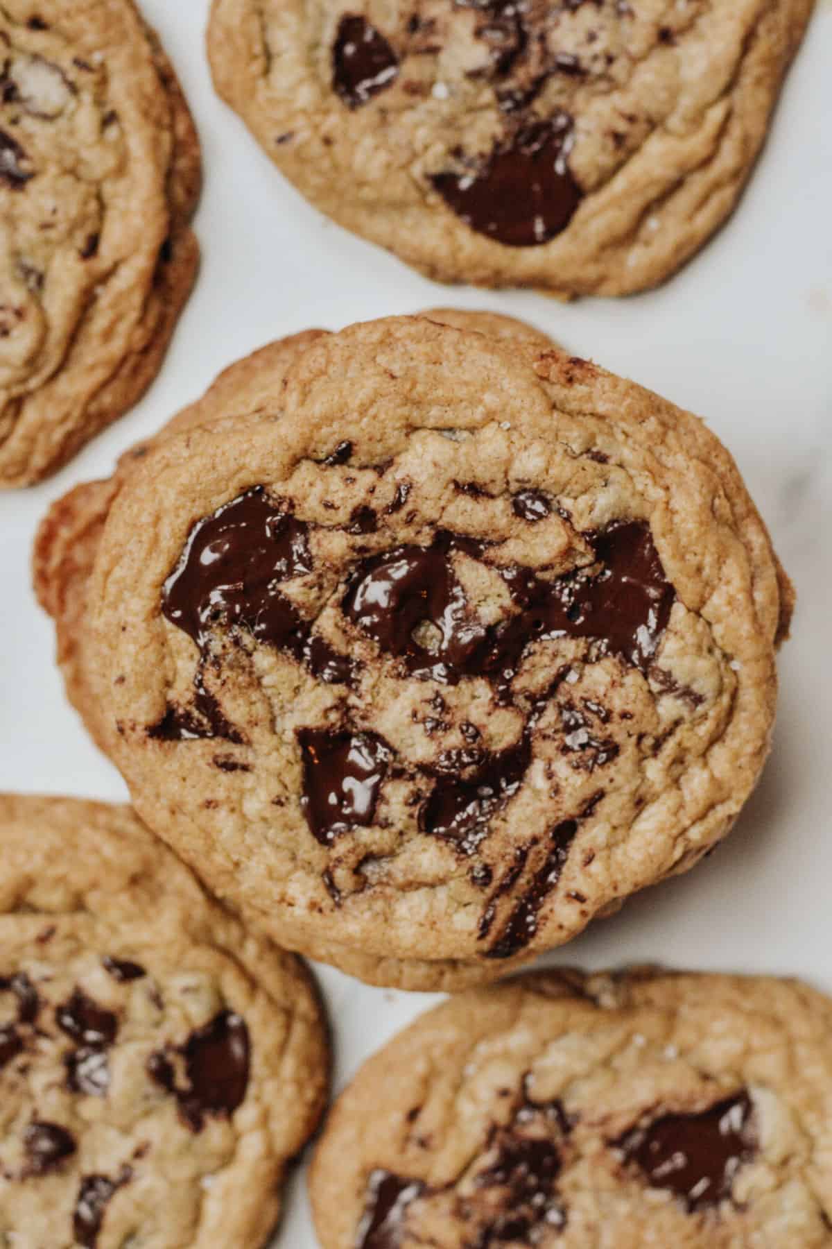 Chocolate chip cookies gathered on a tray.