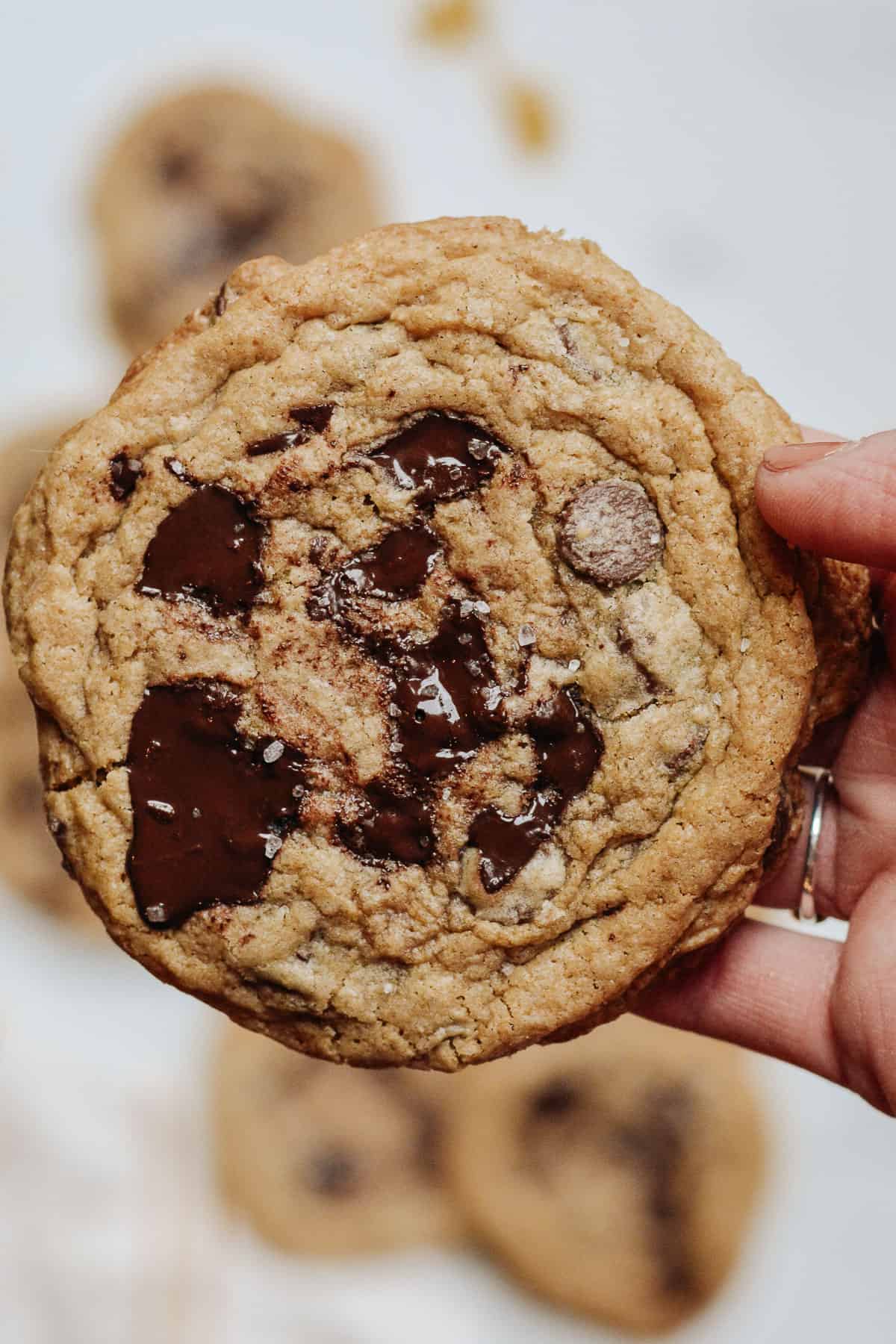 Hand holding maple chocolate chip cookies with melted chunks and sprinkled with se salt.