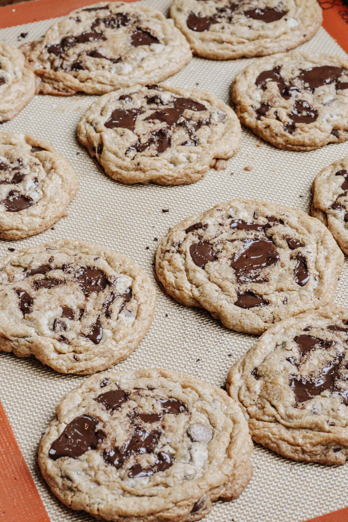 Baked soft chocolate chip cookies on a baking sheet.